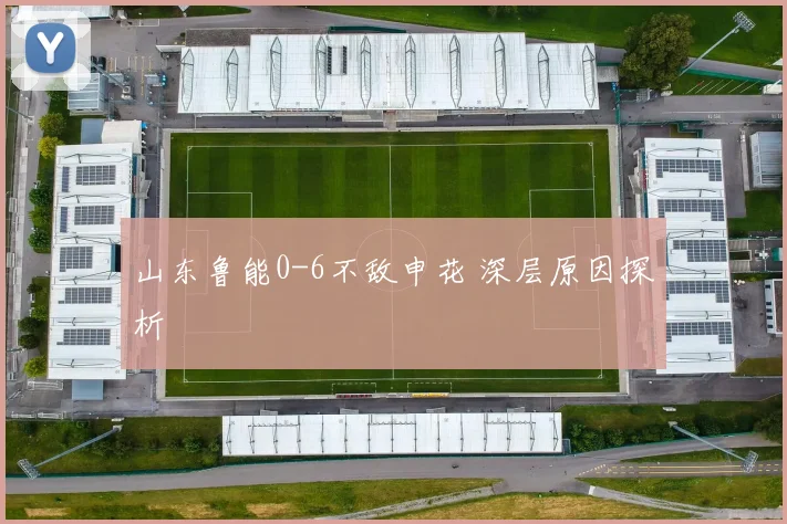 山东鲁能0-6不敌申花 深层原因探析